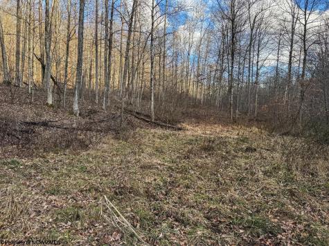 0 Keller Hill Road Belington WV 26260