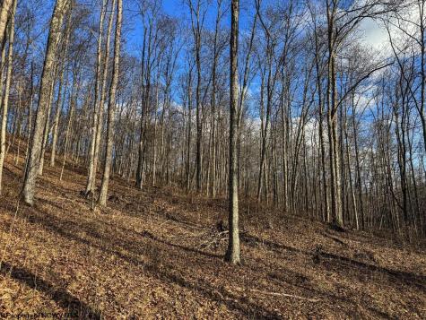 0 Keller Hill Road Belington WV 26260