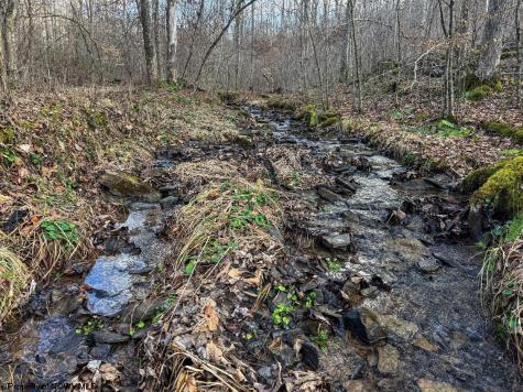 0 Keller Hill Road Belington WV 26260