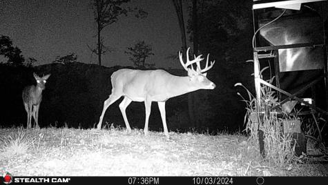 0 Keller Hill Road Belington WV 26260