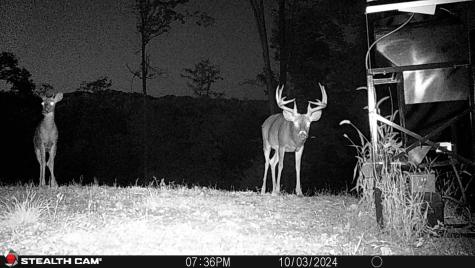 0 Keller Hill Road Belington WV 26260