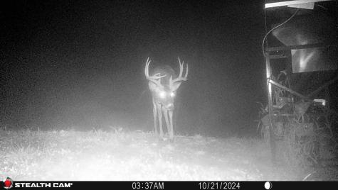 0 Keller Hill Road Belington WV 26260