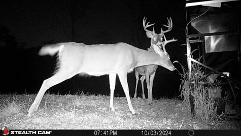 0 Keller Hill Road Belington WV 26260