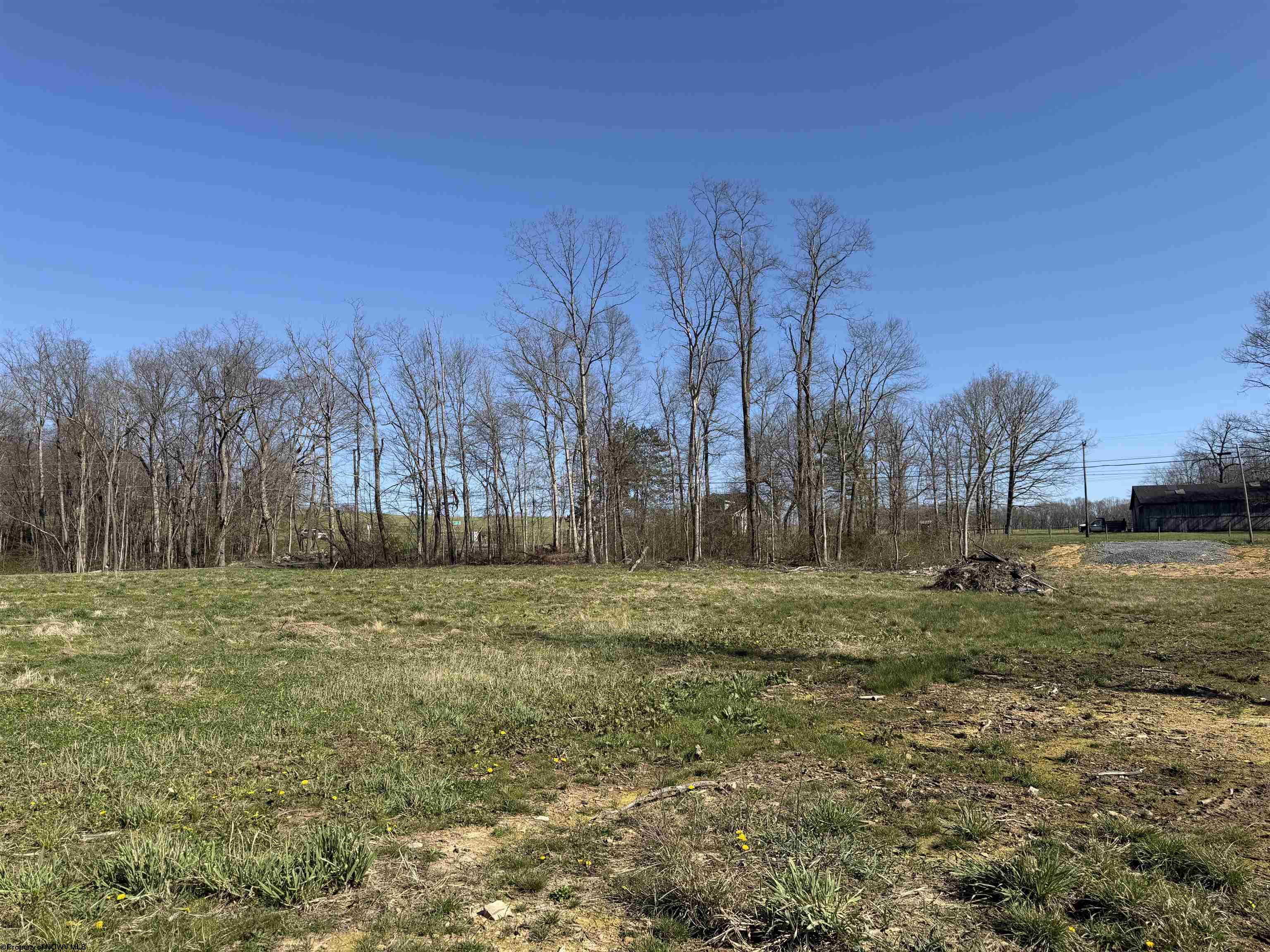 9 Poplar Ridge Bruceton Mills WV 26525