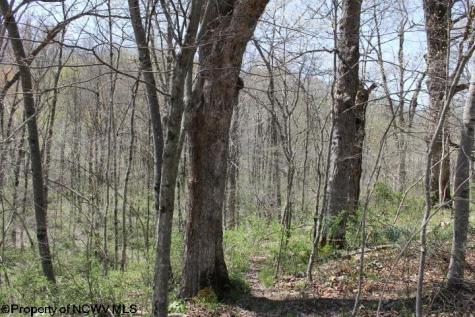 0 S Hazelwood Road Beverly WV 26253