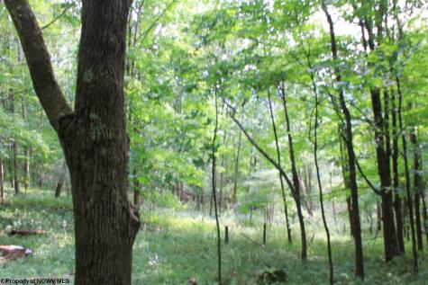 7 High Mountain Road Harman WV 26270