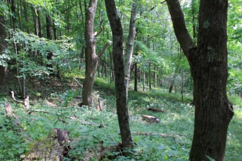 7 High Mountain Road Harman WV 26270