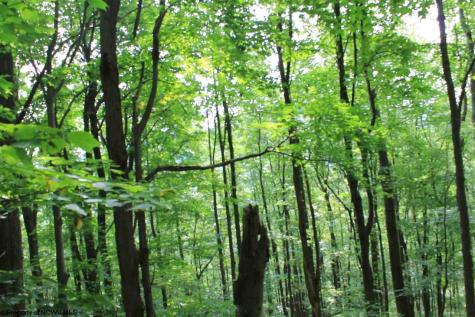 7 High Mountain Road Harman WV 26270