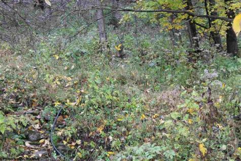 7 High Mountain Road Harman WV 26270