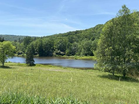 35 Mallow Lake Drive Davis WV 26260