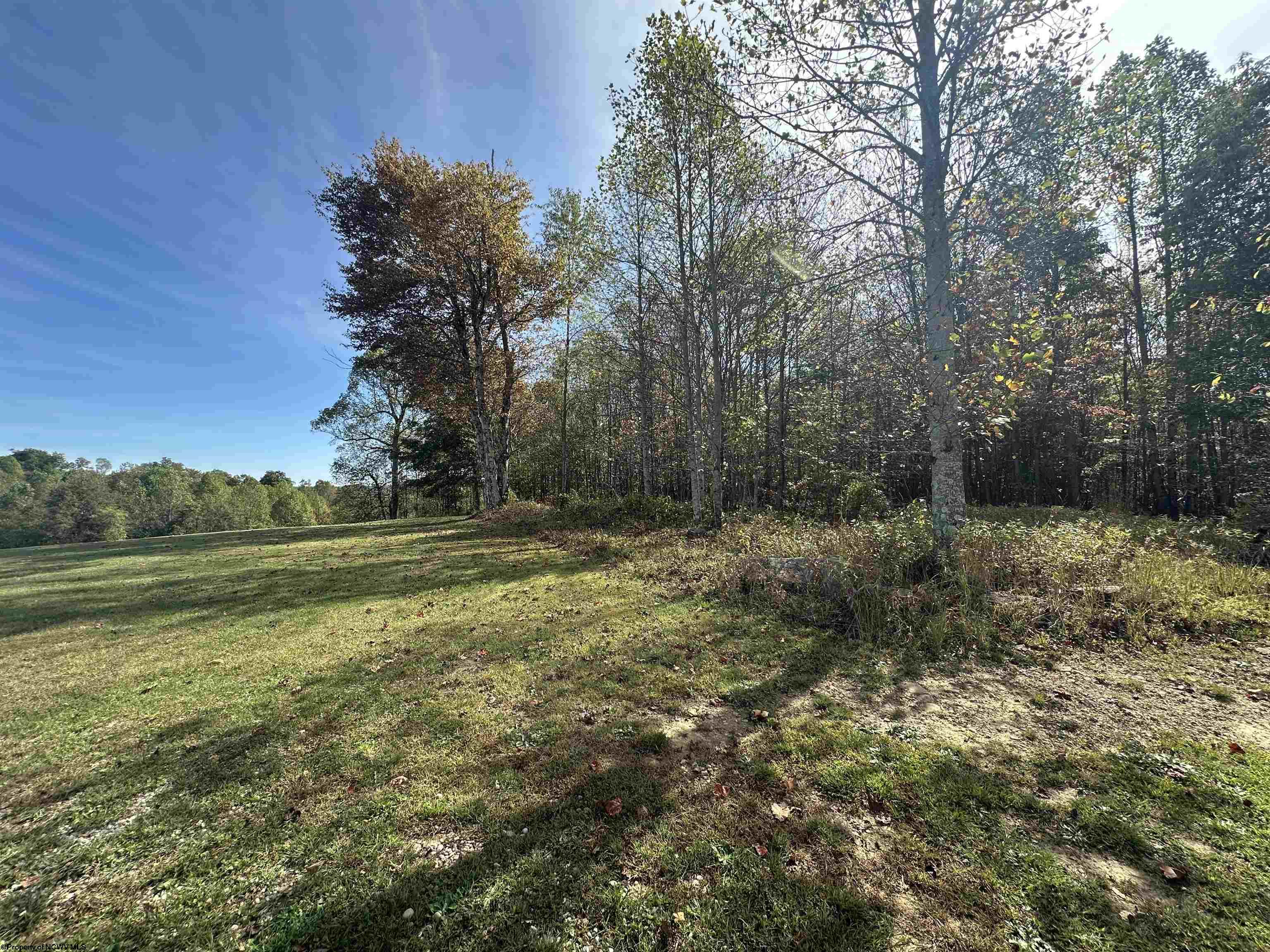 0 Briar Ridge Lane Ellamore WV 26267