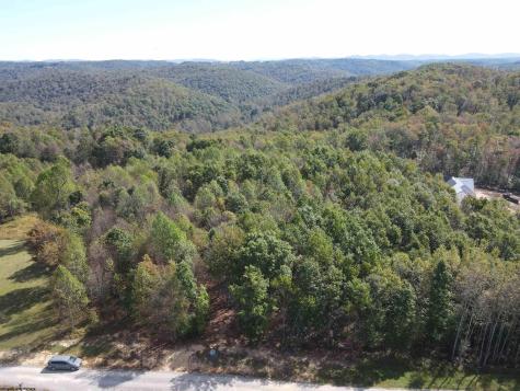 0 Briar Ridge Lane Ellamore WV 26267