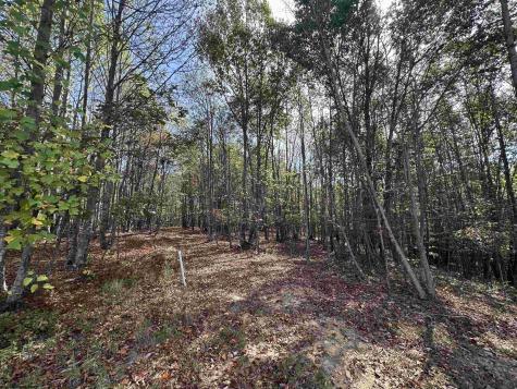 0 Briar Ridge Lane Ellamore WV 26267