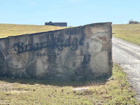 0 Briar Ridge Lane Ellamore WV 26267