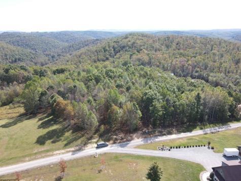 0 Briar Ridge Lane Ellamore WV 26267
