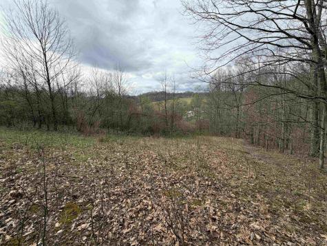 0 Saltwell Road Bridgeport WV 26330