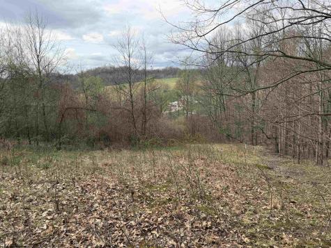 0 Saltwell Road Bridgeport WV 26330