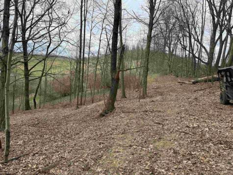 0 Saltwell Road Bridgeport WV 26330