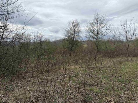0 Saltwell Road Bridgeport WV 26330
