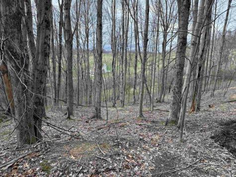 0 Saltwell Road Bridgeport WV 26330