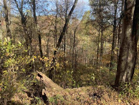 2208 Arden Road Philippi WV 26416