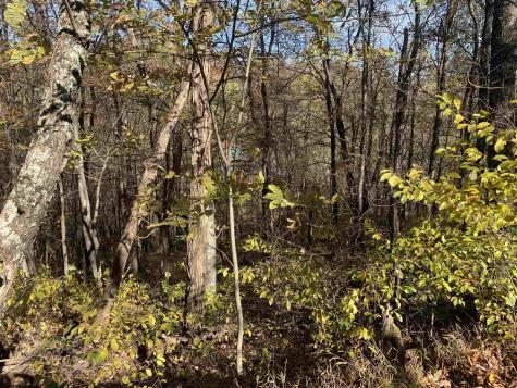2208 Arden Road Philippi WV 26416