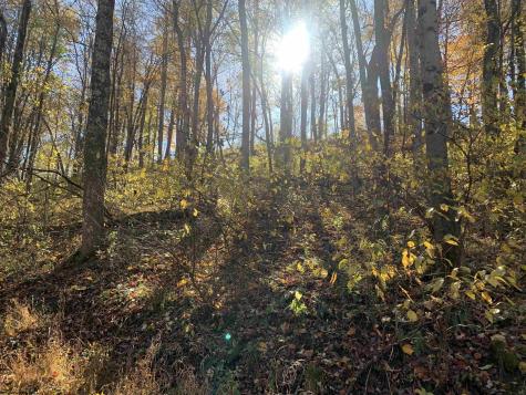 2208 Arden Road Philippi WV 26416