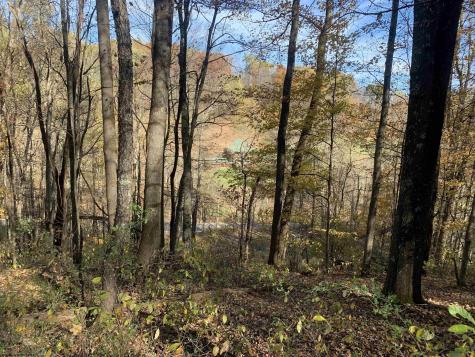 2208 Arden Road Philippi WV 26416