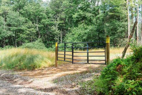 0 Eagles Nest Road Bruceton Mills WV 26525