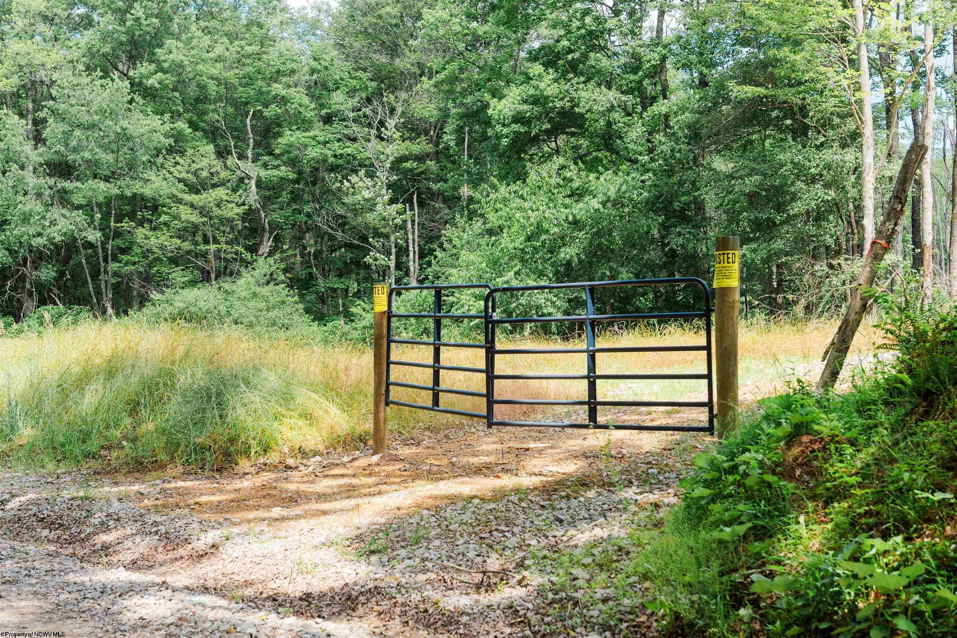 0 Eagles Nest Road Bruceton Mills WV 26525
