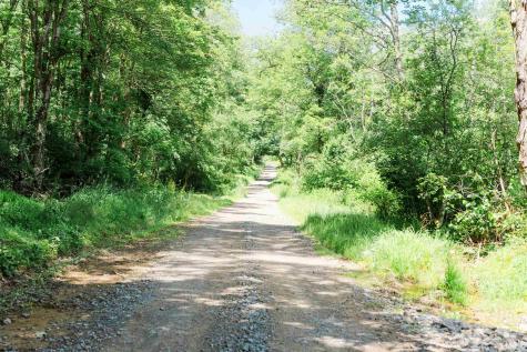 0 Eagles Nest Road Bruceton Mills WV 26525