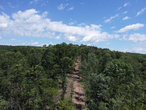 0 Eagles Nest Road Bruceton Mills WV 26525