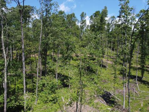 0 Eagles Nest Road Bruceton Mills WV 26525