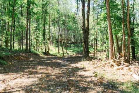 0 Eagles Nest Road Bruceton Mills WV 26525