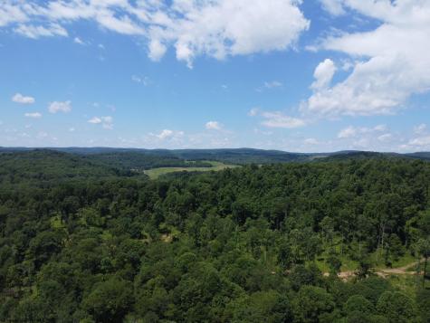 0 Eagles Nest Road Bruceton Mills WV 26525