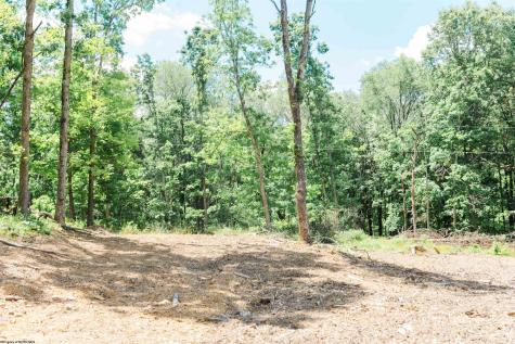 0 Eagles Nest Road Bruceton Mills WV 26525