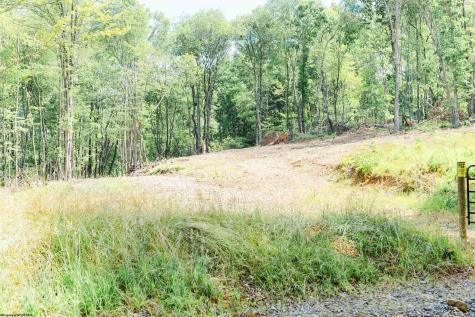 0 Eagles Nest Road Bruceton Mills WV 26525