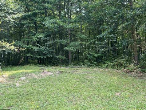 32 Oak Drive Albright WV 26519