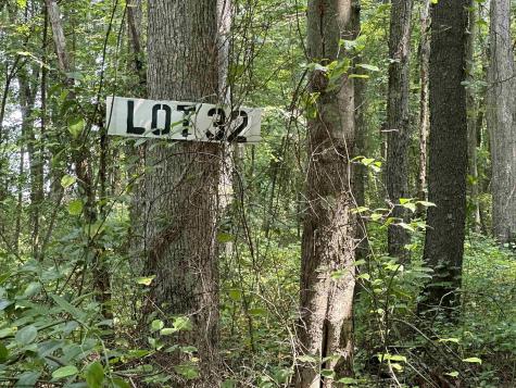 32 Oak Drive Albright WV 26519