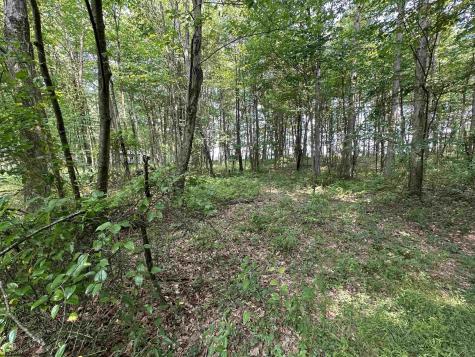 32 Oak Drive Albright WV 26519