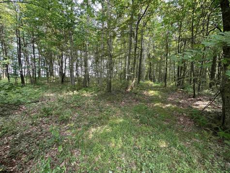 32 Oak Drive Albright WV 26519