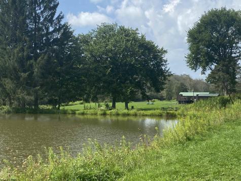 254 William Avenue Davis WV 26260