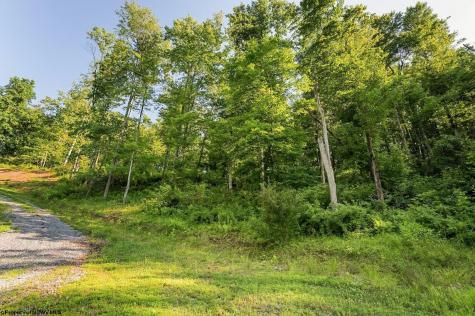 1 Breezy Knoll Drive Buckhannon WV 26201
