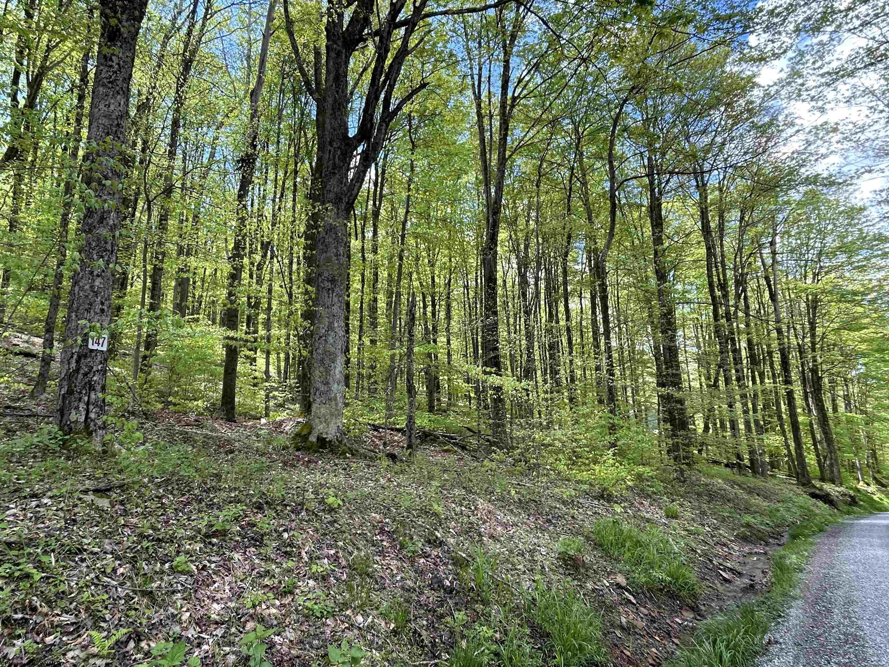 147 Cabin Mountain Road Davis WV 26260