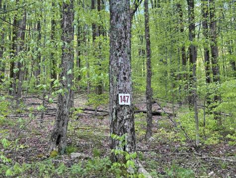 147 Cabin Mountain Road Davis WV 26260