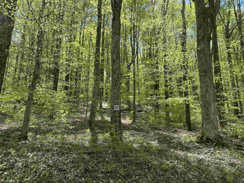 147 Cabin Mountain Road Davis WV 26260