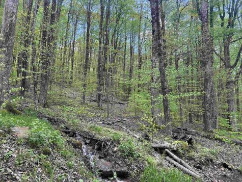 147 Cabin Mountain Road Davis WV 26260