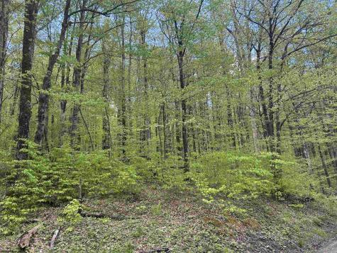 147 Cabin Mountain Road Davis WV 26260