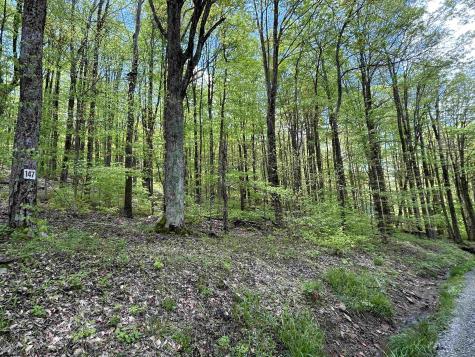 147 Cabin Mountain Road Davis WV 26260