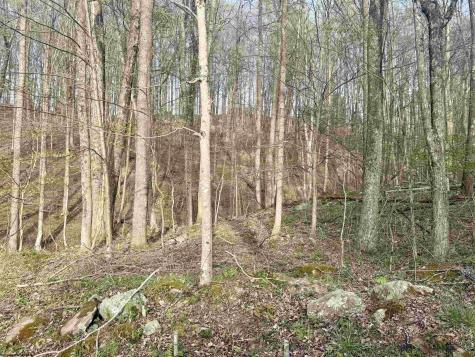 23 Serene Drive Grafton WV 26354